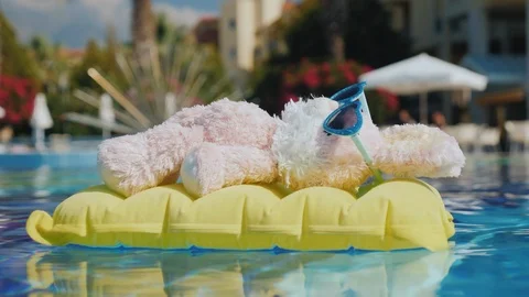 Side view: A cool rabbit in sun glasses glows on an inflatable mattress. Floats Stock Footage 91625746