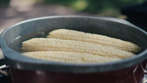 Side view of corn in hot water outside Stock Footage 279959778