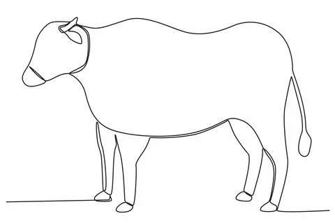 Side view of a cow for sacrifice Illustrazione stock