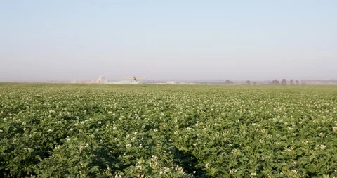 Side view of a crop duster flying low and spraying chemicals over vegetable Video stock 123008094