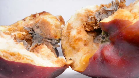 Side view cut out apple with badly rotten core pause and rotating Stock Footage 108820506