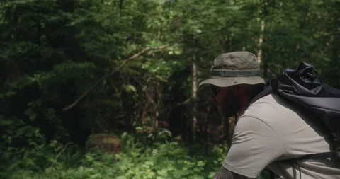 Side view of cyclist riding through shaded forest path Stock Footage 312354710