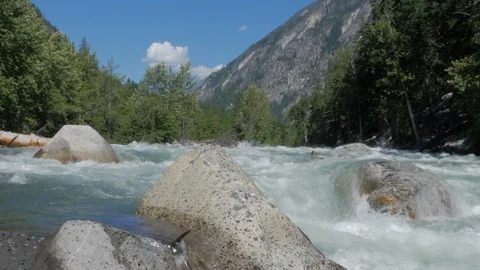 Side view-deep in the forest river moving with blue water Stock Footage 96560648