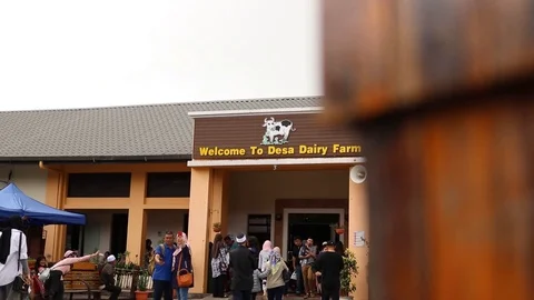 Side View of Desa Diary Farm at Sabah, Malaysia Stock Footage 111188696