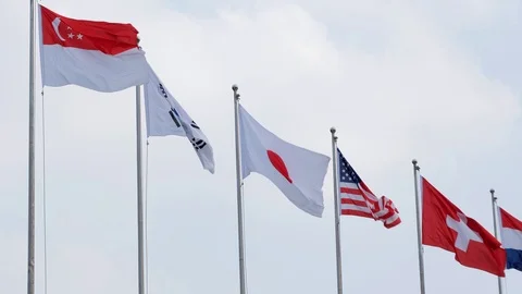 Side view of different countries national flags waving in the wind. Stock Footage 119211218