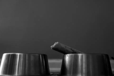 Side view of a dog chew bone with a metal bowl Foto stock