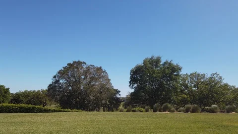 Side View Driving Past Open Fields Golf Fields In Tropical Vacation Destinat Stock Footage 127329496