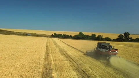 Side view from a drone of a combine harvester working in a wheat field. The Stock Footage 253185834