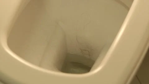 Side view of dropping fallen hair into clean white matte toilet Video stock 346834904