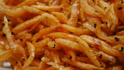 Side view dry shrimps rotating and pause Stock Footage 111739806