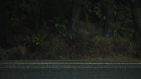 Side view of empty, wet highway by the woodland with evergreen trees Stock Footage 232529414