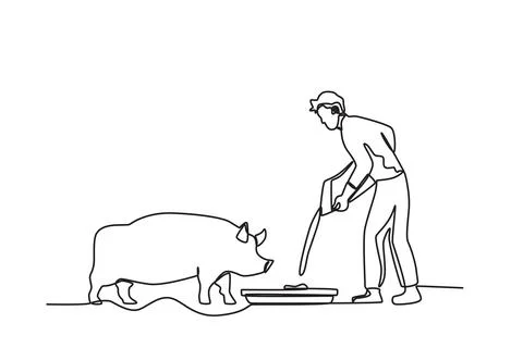 Side view of the farmer feeding pigs Stock Illustration