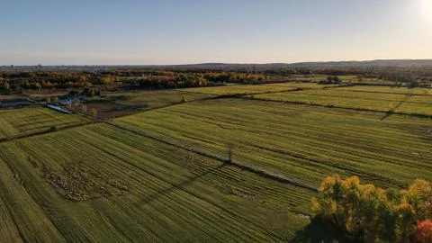 Side view of the fields Stock Photos