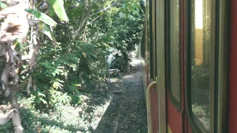 Side view of Forest Train from Chiayi to Fenchihu railway station Video stock 148335321