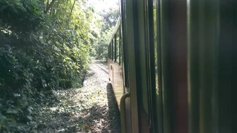 Side view of Forest Train from Chiayi to Fenchihu railway station Video stock 148335564
