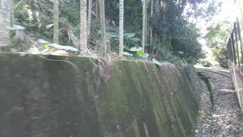 Side view of Forest Train from Chiayi to Fenchihu railway station Video stock 148335597