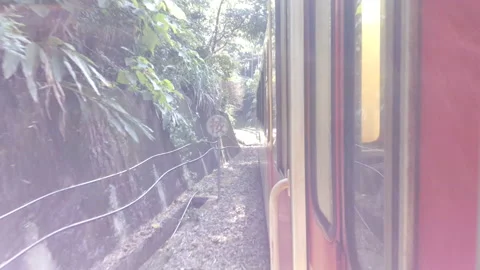 Side view of Forest Train from Chiayi to Fenchihu railway station Video stock 148335817
