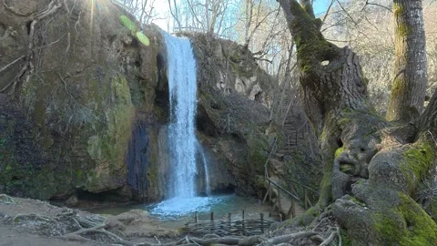 Side View of Forest Waterfall with Tree and Sunlight – Gentle Camera Movement Video stock 330929793