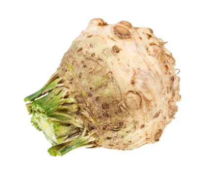 Side view of fresh celeriac (celery root) isolated Stock Photos