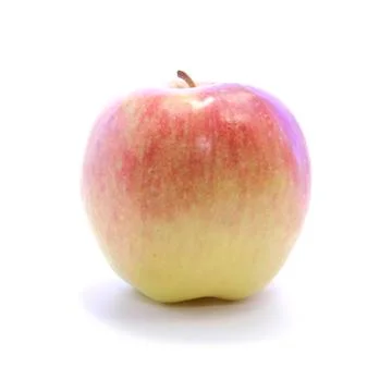 Side view fresh red yellow apple gradient Stock Photos