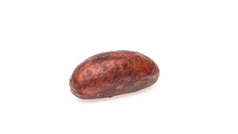 Side view of full kola nut seed rotating on white background. Stock Footage 161025634