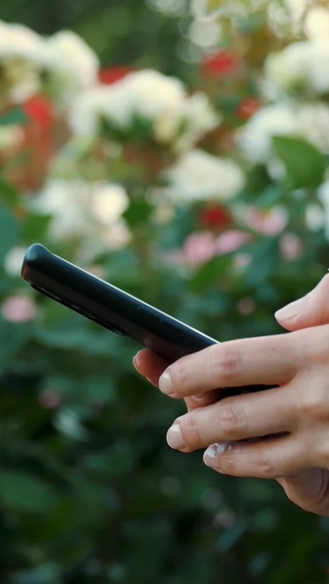 Side view. Girl's hand using smartphone typing a message. The employee analyzes Stock Footage 315754754