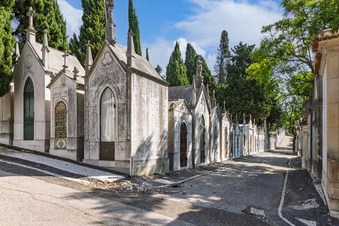 Side view of grand, well-maintained mausoleums lining a quiet road inside the Fotos Stock