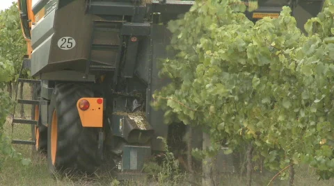 Side view of grape harvester Stock Footage 345979
