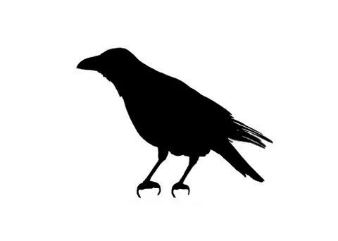 Side View Graphic Silhouette Brid Isolated Stock Illustration