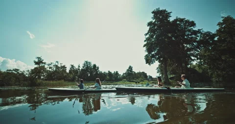 Side view of group of friends canoeing in nature Stock Footage 221318938