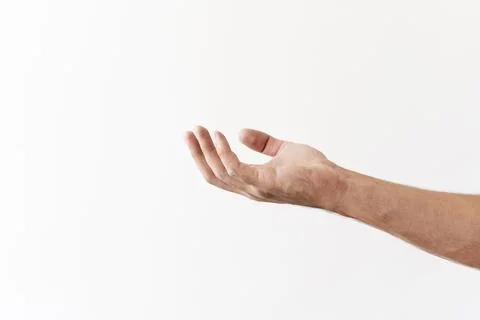 Side view hand asking food donations. High quality and resolution beautiful Stock Photos