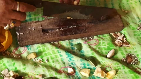 Side View of Hand-Operated Mango Cutting for Pickle Making Video stock 336859394