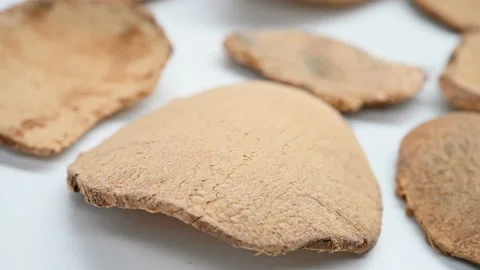 Side view herb CuSanLeng or Sparganii Rhizoma or Vinegar Processed Common Bur Stock Footage 151157038