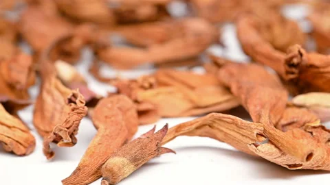 Side view herb LingXiaoHua or Campsis Flos or Chinese Trumpetcreeper rotating Stock Footage 148064554