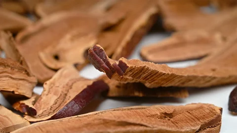 Side view herb LingZhi or Ganoderma or Lucid Ganoderma rotating Stock Footage 147972024