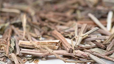 Side view herb MaBianCao or Herba Verbenae Officinalis or European Verbena ro Stock Footage 150079672