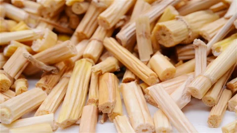 Side view herb medicine BaiMaoGen or Imperatae Rhizoma or Lalang Grass Rhizom Stock Footage 106870832