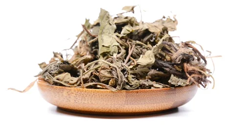 Side view herb medicine Diding or Herba Violae rotating and pause Video stock 109193132