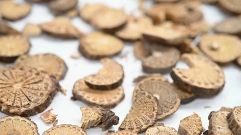 Side view herb QingFengTeng or Sinomenii Caulis or Ovientvine Stem rotating Stock Footage 151160590