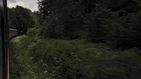 Side view of high-speed turning train on landscape of beautiful nature wild Stock Footage 201376645