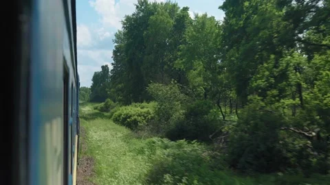 Side view of high-speed turning train on landscape of beautiful nature wild Stock Footage 221873786