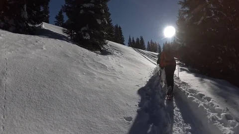 Side View of Hikers Walking on Fresh Snow with Snowshoes, Trentino, Italy Stock Footage 83993204
