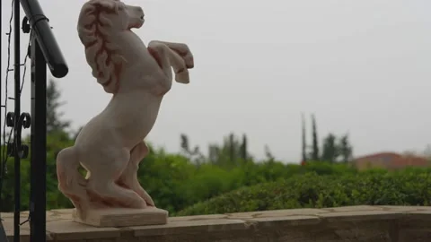 Side view horse statue on the left with overcast landscape at background. Cloudy Stock Footage 234974821