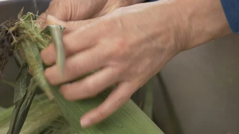 Side view-hotel chef peeling organic corn to bake corn bread 4k Stock Footage 96193494