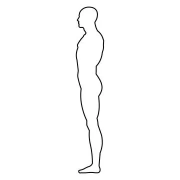 Side view of human body outlined silhouette. Vector. Stock Illustration