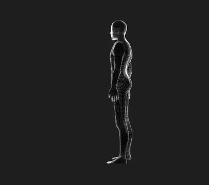 Side view of human body. Wireframe model on black, artificial intelligence in Stock Illustration