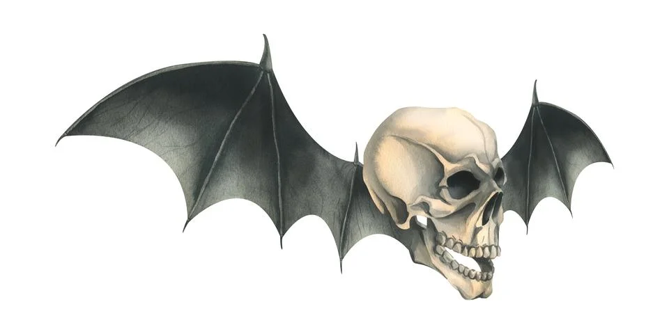 Side view human skull with black bat wings for death day holiday and halloween Stock Illustration