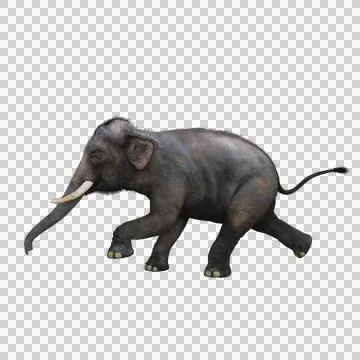 Side view of Indian elephant running. 3D illustration. Stock Illustration