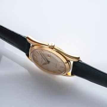 Side view of IWC watch Stock Photos