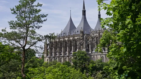 Side View of Kutná Hora Cathedral Framed by Summer Trees Stock Footage 313880566